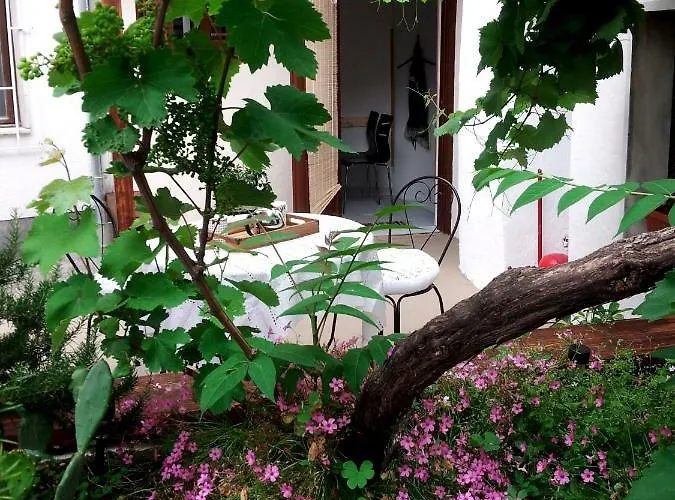House - Dama Apartman Split