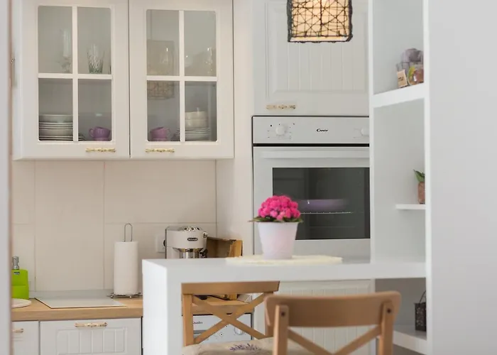 House - Dama Apartamento *