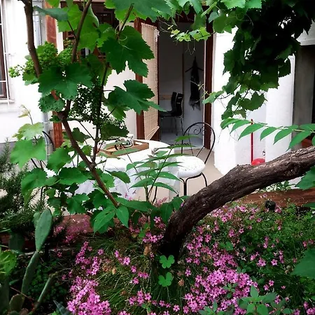 House - Dama Apartment Split